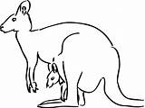 Kangaroo Sketch sketch template