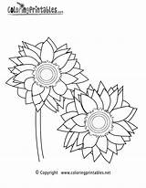 Sunflower Coloring Pages Printable Color Nature Flower Kids Sunflowers Sheets Sun Clipart Drawing Sheet Adults Printables Clip Library Book Getdrawings sketch template