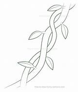 Drawing Vine Vines Leaves Drawings Leaf Jungle Draw Grape Flower Getdrawings Sketches Steps Yahoo Search Flowers Hand sketch template
