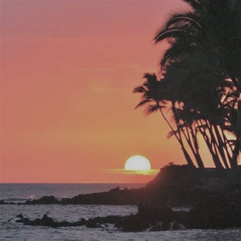 sunset in hawaii playlist by seace spotify