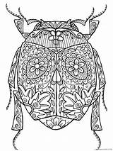 Zentangle Coloring4free sketch template