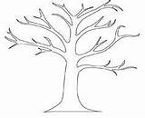 Tree Coloring Outline Pages Almond Baum Bäume Umriss Leaves Clipart Printable Getcolorings Vorlage Color Drawings Kids Print sketch template