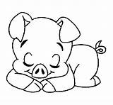 Maialino Cerdito Porco Cerditos Coloring Colorare Tiernos Cochon Porqui Cochinitos Disegni Acolore Usuarios Violetta Coloritou sketch template