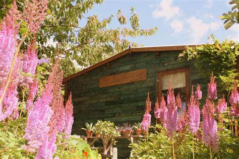 greenhouse approach massage treatment spa retreat log cabin