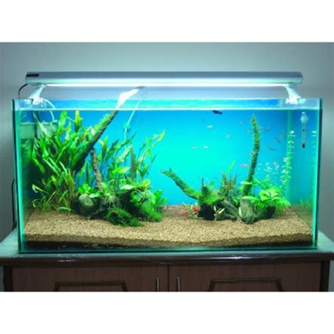 gal gallons aquarium fish tank  dual stand accessories decors rocks design