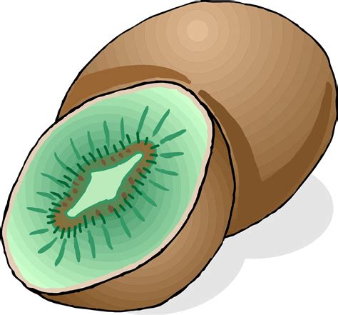 gambar gambar kartun buah lucu aneka jenis buahan segar animasi kiwi  rebanas rebanas