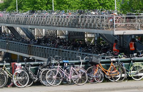 dutch pedalling amsterdams ubiquitous bikes travelmag