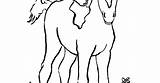 Foal Coloring Pages Getcolorings Print sketch template