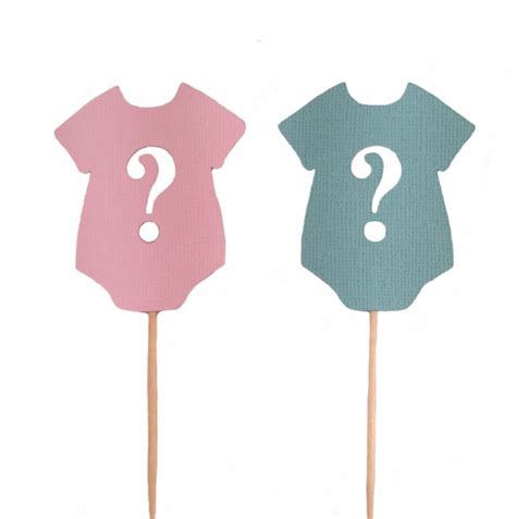 Pink And Blue Question Mark Gender Reveal Cupcake Toppers