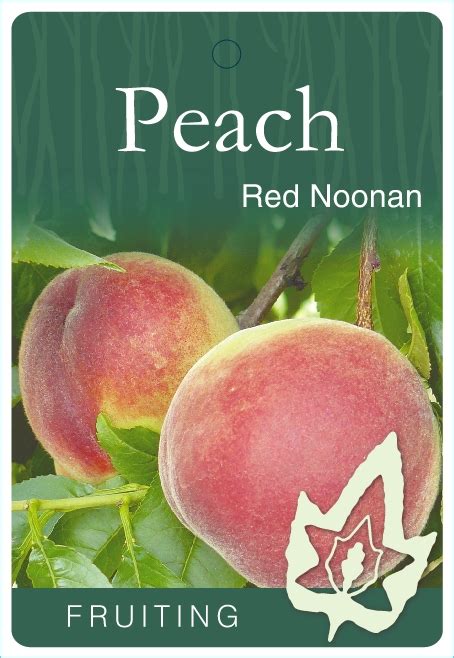 Peach Red Noonan Blerick Tree Farm