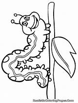 Chenille Colouring Mewarnai Drawing Ulat Colorir Lagarta Insecte Insetos Caterpillar Serangga sketch template