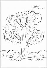 Summer Tree Coloring Pages Seasons Nature Color sketch template