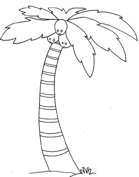 date palm tree sheet coloring pages