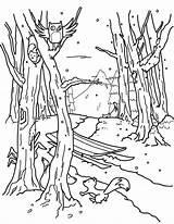Coloring Forest Winter Pages Colouring Museprintables Printable Color sketch template