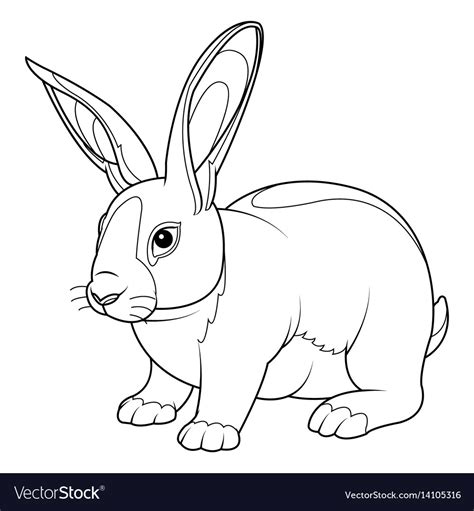 coloring pages rabbit coloring page vector