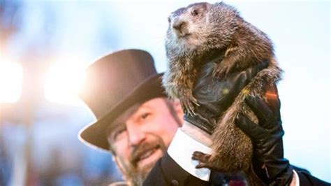 groundhog predicts  early spring dont   excited hes  wrong newsonlinecom