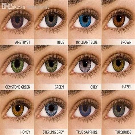 Blue Trivex Light Brown Contact Lenses Rs 450 Piece Shadow Opticals