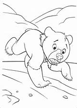 Bear Coloring Brother Koda Pages Running Disney Little Walt Cartoon Printable Fanpop Characters Ours Colorier Des Tweet Coloriage Categories sketch template