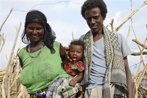 afar people family danakil pictures ethiopia  global geography