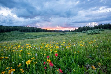 images landscape nature forest wilderness mountain cloud plant sky sunset field