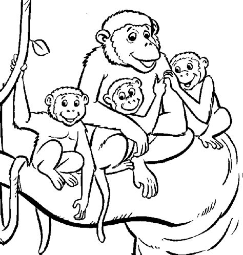 baby monkey coloring pages coloring home