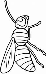 Insects Kolorowanki Robaki Owady Grasshopper Primarygames Printables Coloringpages101 sketch template
