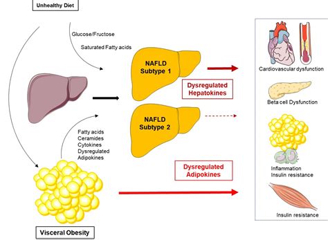 Non Alcoholic Fatty Liver Disease Hepatokines Mediate Its Impact On