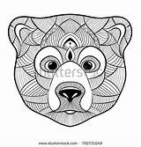 Bear Drawing Hand источник Shutterstock Linear sketch template