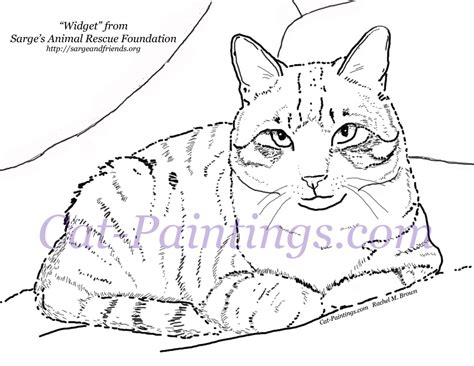calico kitten coloring page   quality file