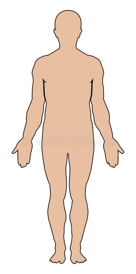 Outline Of Human Body 10 Free Hq Online Puzzle Games On