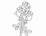 Bouquet Roses Coloring Coloringcrew sketch template