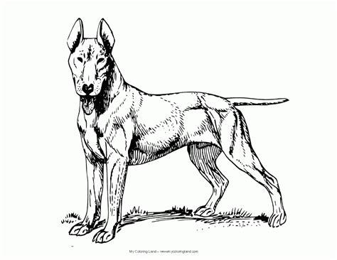 german shepherd dog coloring pages   clip art