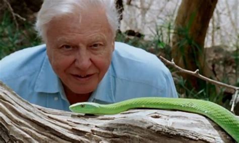 Sir David Attenborough Says New Film Will Tell His