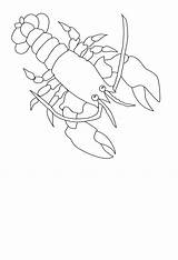 Homard Coloriages Animaux sketch template