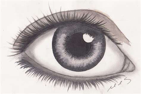 realistic eye drawing  mhylands  deviantart