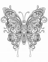 Butterfly Coloring Adult Pages Adults Kids sketch template