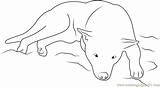 Dog Sleeping Coloring Pages Coloringpages101 Dogs Online Mammals sketch template