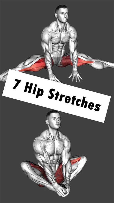 ᴀʀᴛ ᴏꜰ ᴘʜʏꜱɪqᴜᴇ On Twitter Rt Cadioarena 7 Hip Stretches Exercises