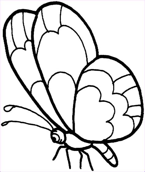 printable butterfly coloring pages  kids malvorlagen tiere