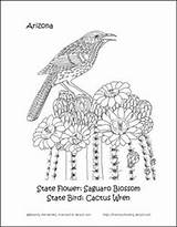 Arizona Bird State Coloring Pages Crossword Flower Wordsearch Printable Flags Flowers Choose Board sketch template