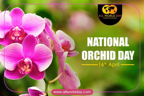 national orchid day  theme history quotes significance