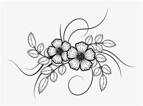 flower drawing vector  getdrawings white flower drawing png