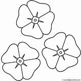 Poppy Template Coloring Remembrance Kids Colouring Bigactivities Poppies Printable sketch template
