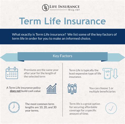 year term life insurance top  companies  tips