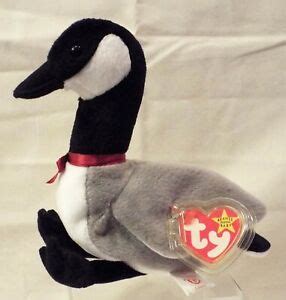 retired ty canadian goose named loosy   beanie babies