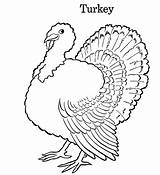 Coloring Turkey Cartoon Printable Thanksgiving Cute Kids Pages Drawing Wallpaper Colour sketch template