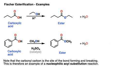 fischer esterification carboxylic acid  ester  acidic conditions master organic chemistry