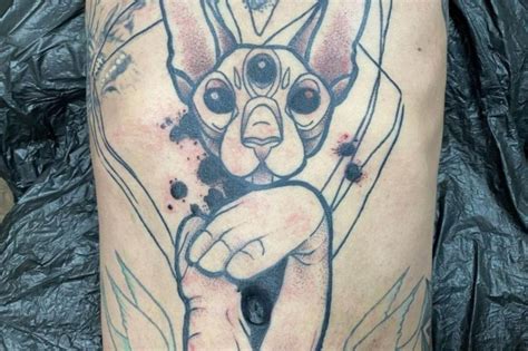 Belly Button Cat Tattoo Good And Bad Ones With Pictures Wise Kitten