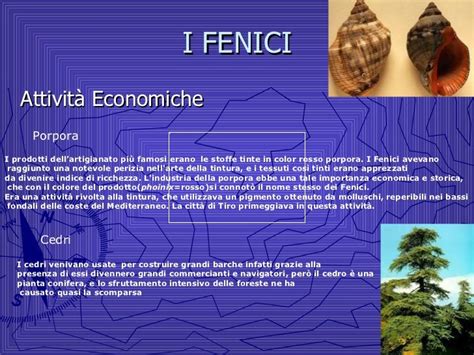 La ninfa accettò allora di sposare melqart solo se questi le avesse confezionato un vestito dello stesso colore. I fenici schemi