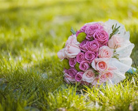 Wallpaper Pink Roses Flowers Grass Bouquet 5120x2880 Uhd 5k Picture